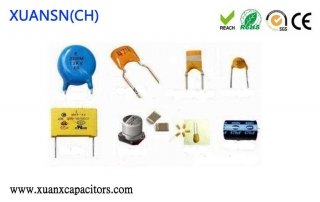 identify polar capacitors