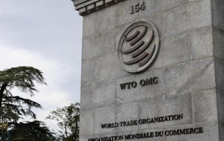 Can the WTO welcome the first head of Africa？